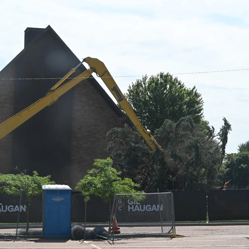 Tree Removal