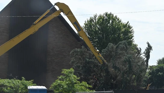 Tree Removal