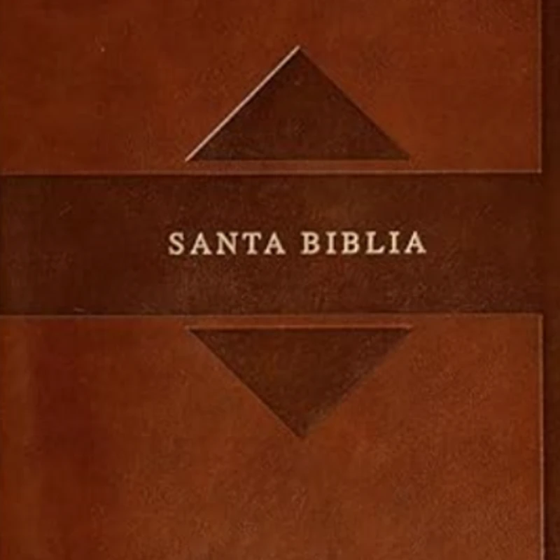 A close-up of a brown, leather-like book cover with the words 'SANTA BIBLIA' in the center on a dark band, framed by two indented triangles.