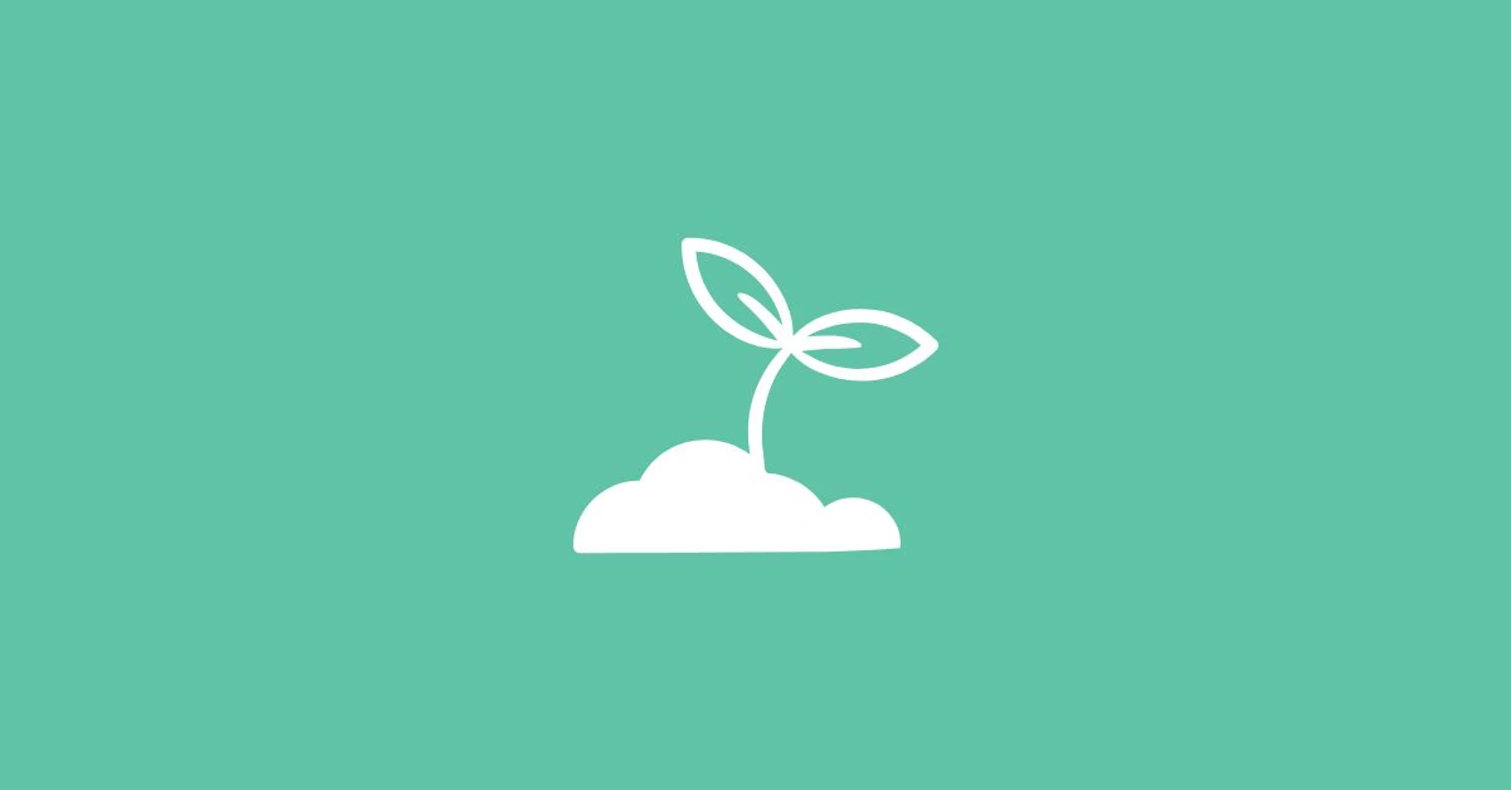 Small Seeds, Great Things