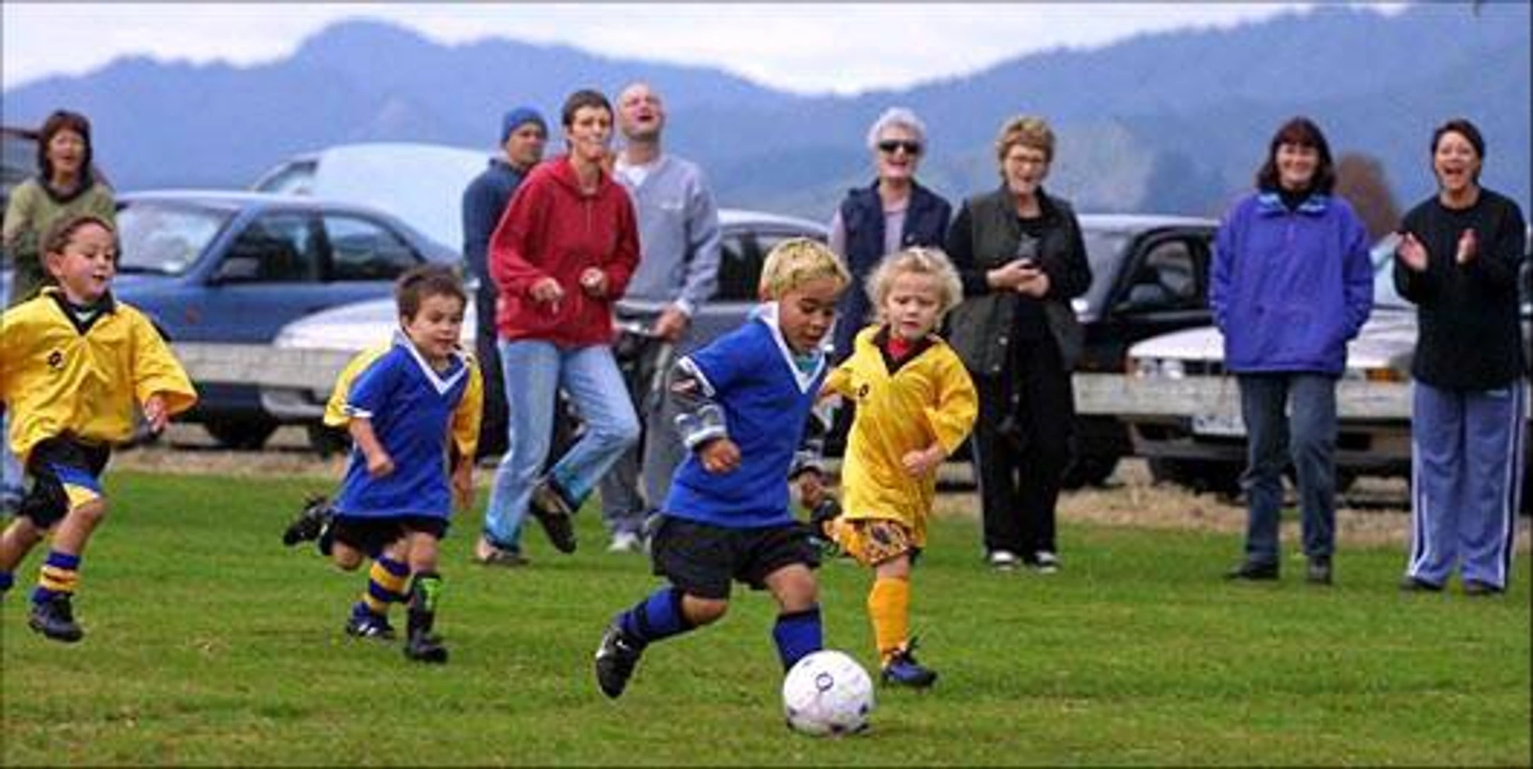 A group of young children in blue and yellow uniforms play soccer on a grassy field, while their parents and other adults cheer from the sidelines.