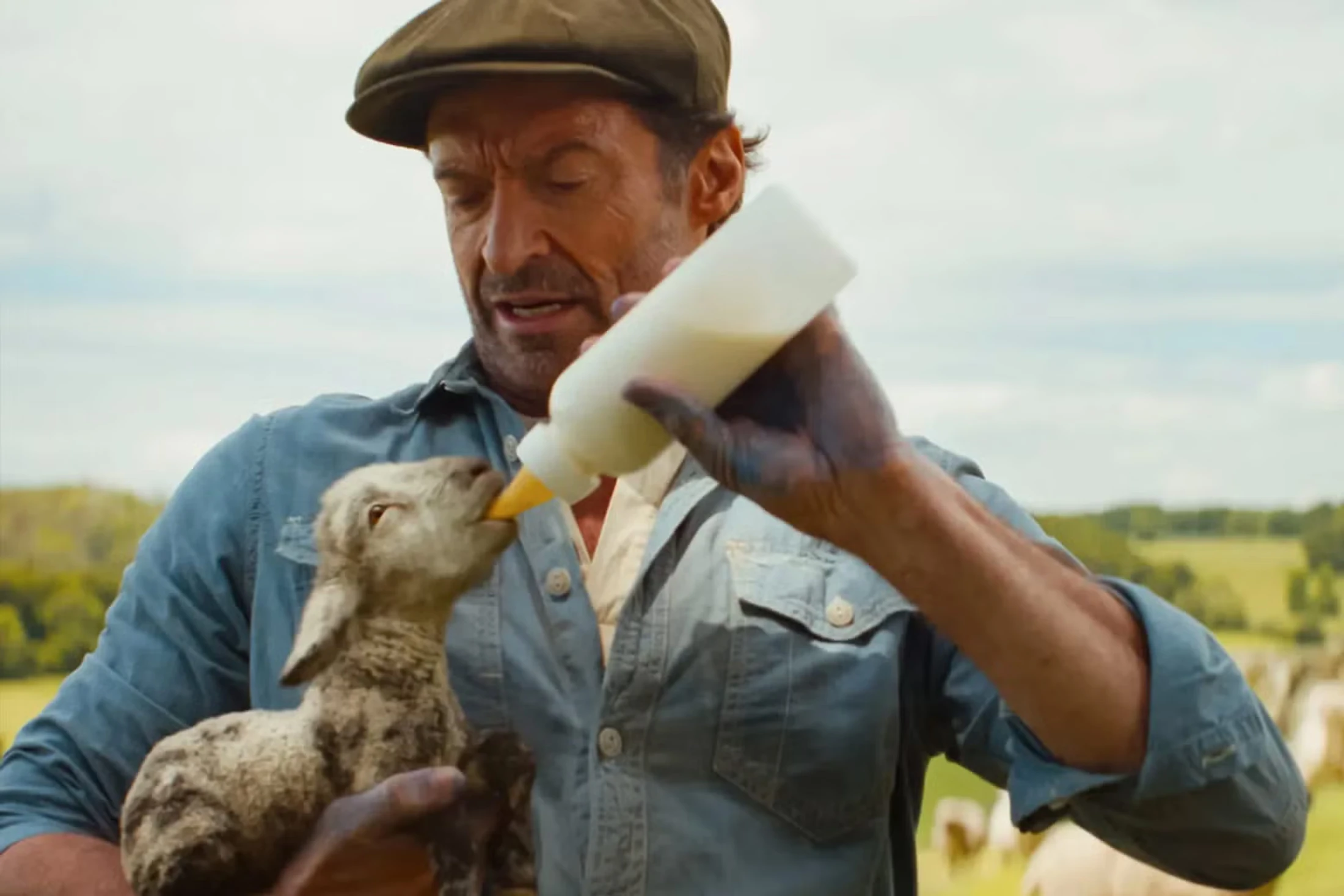 Actor Hugh Jackman, dressed as a farmer in a cap and denim shirt, holds a small lamb and carefully bottle-feeds it milk in a green pasture.