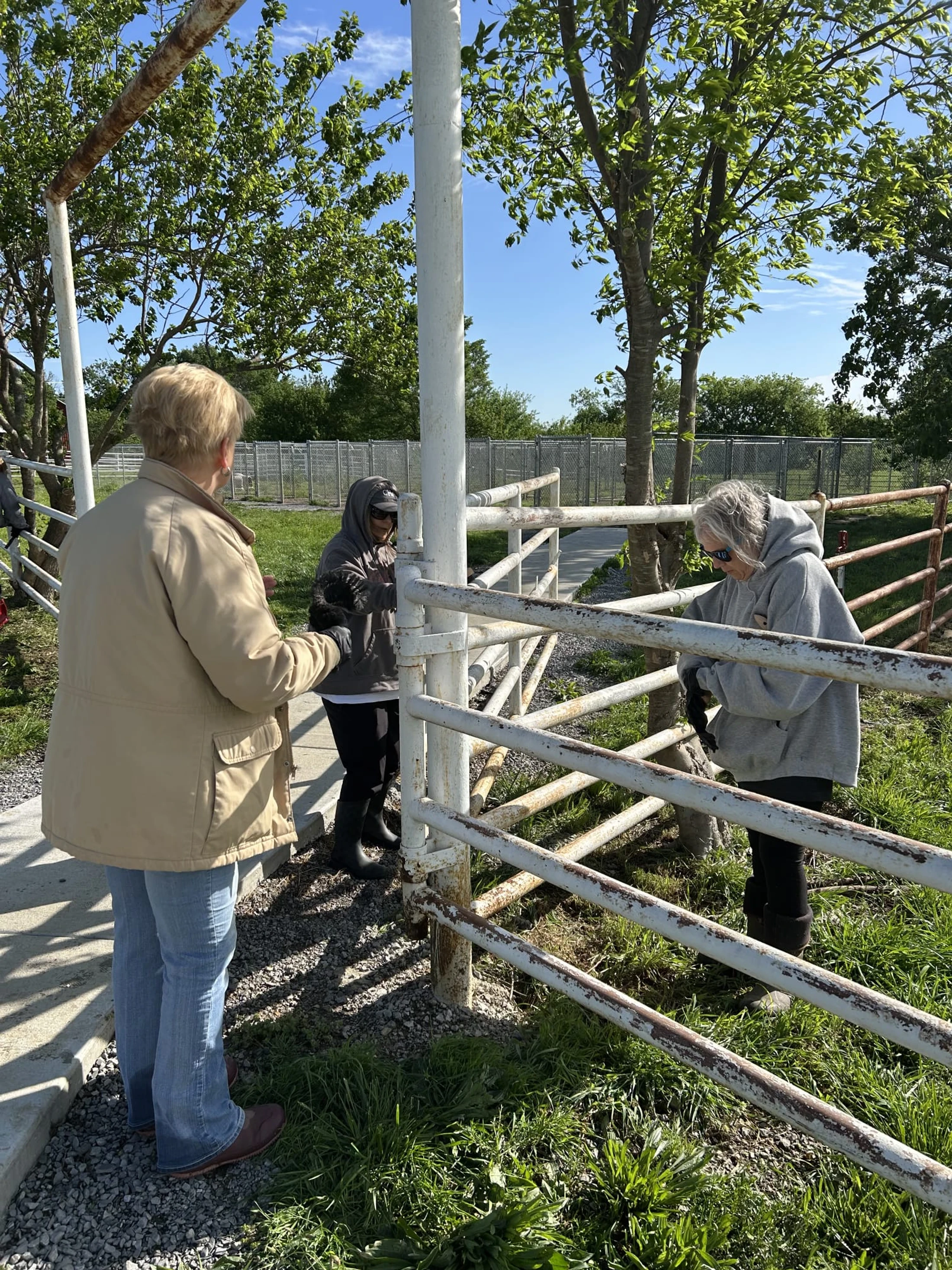 Three women stand together outdoors by a white metal fence on a sunny day. They are dressed in casual jackets and hoodies in a grassy area with trees.