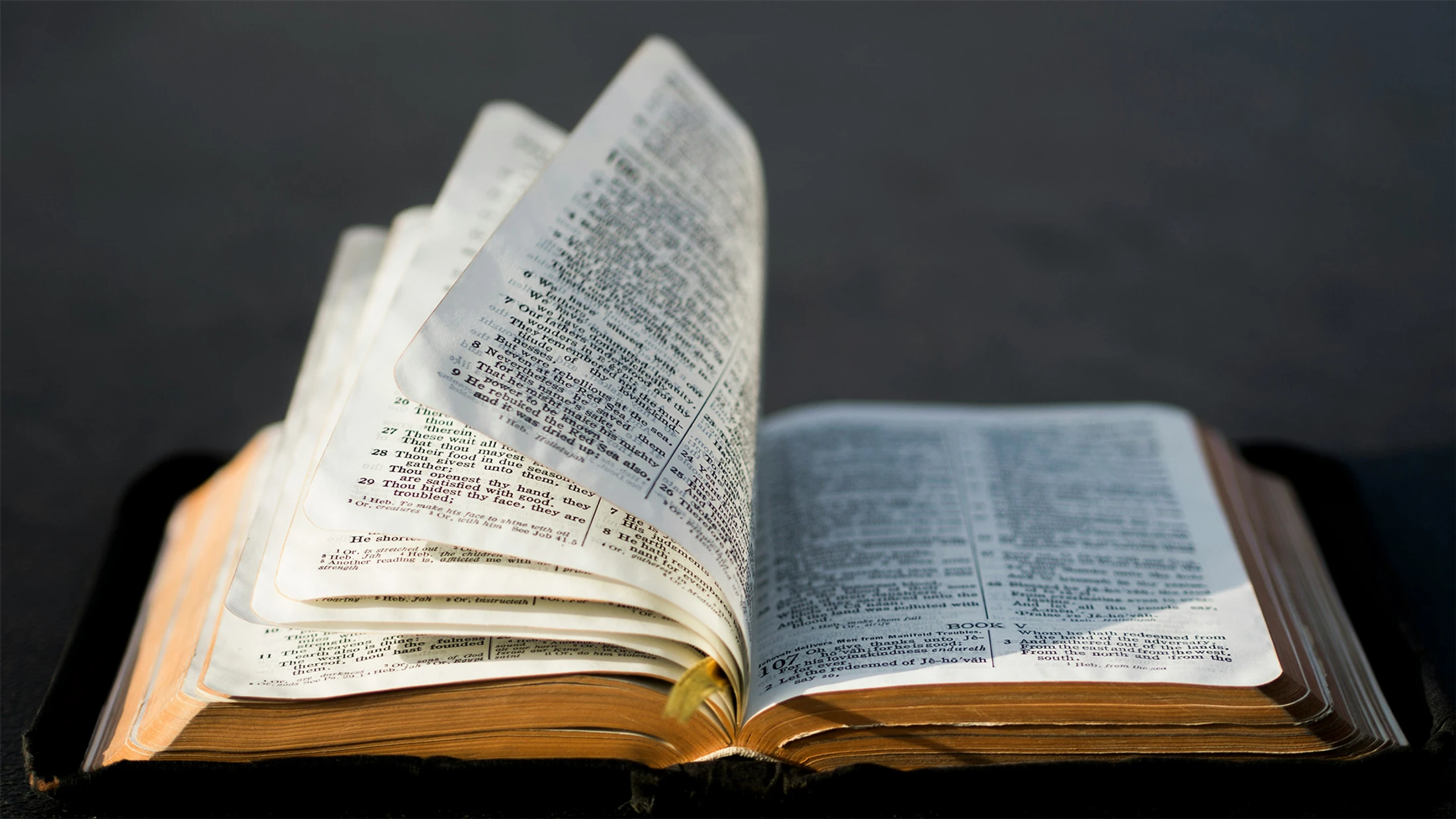 Christ City Bible Reading Plan
