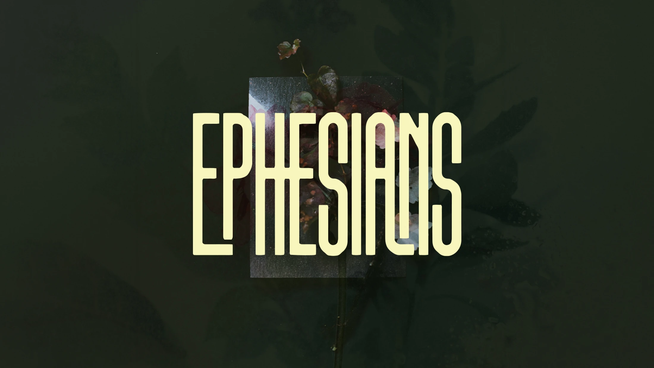 Ephesians 1:1–2:10