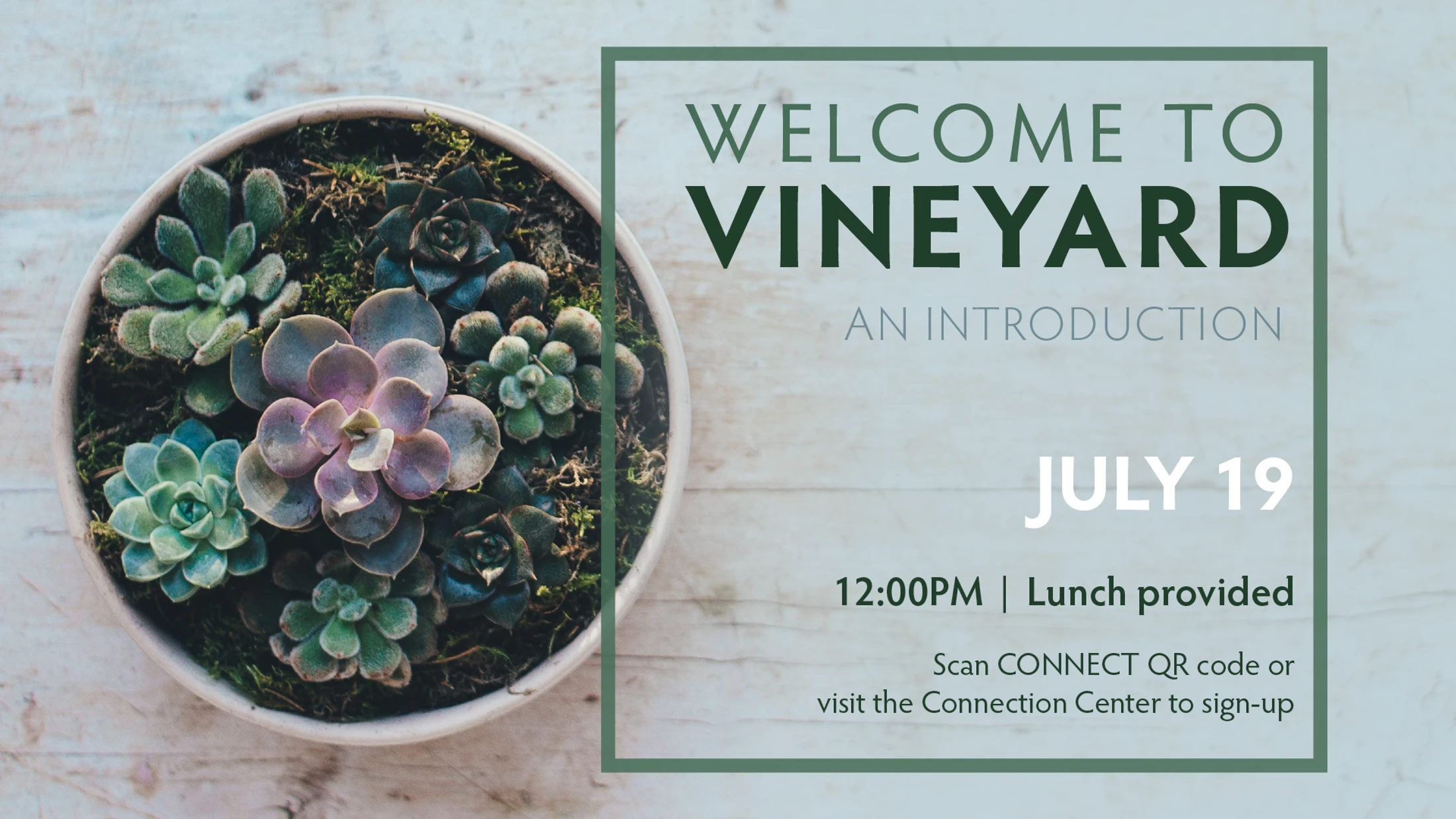 Welcome to Vineyard