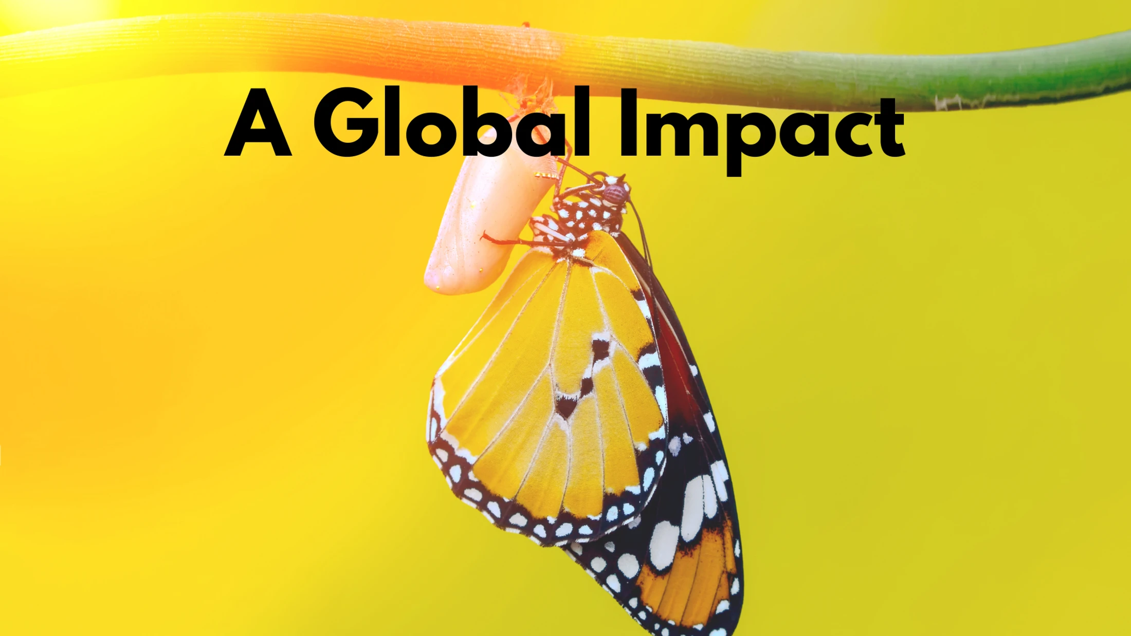 A Global Impact