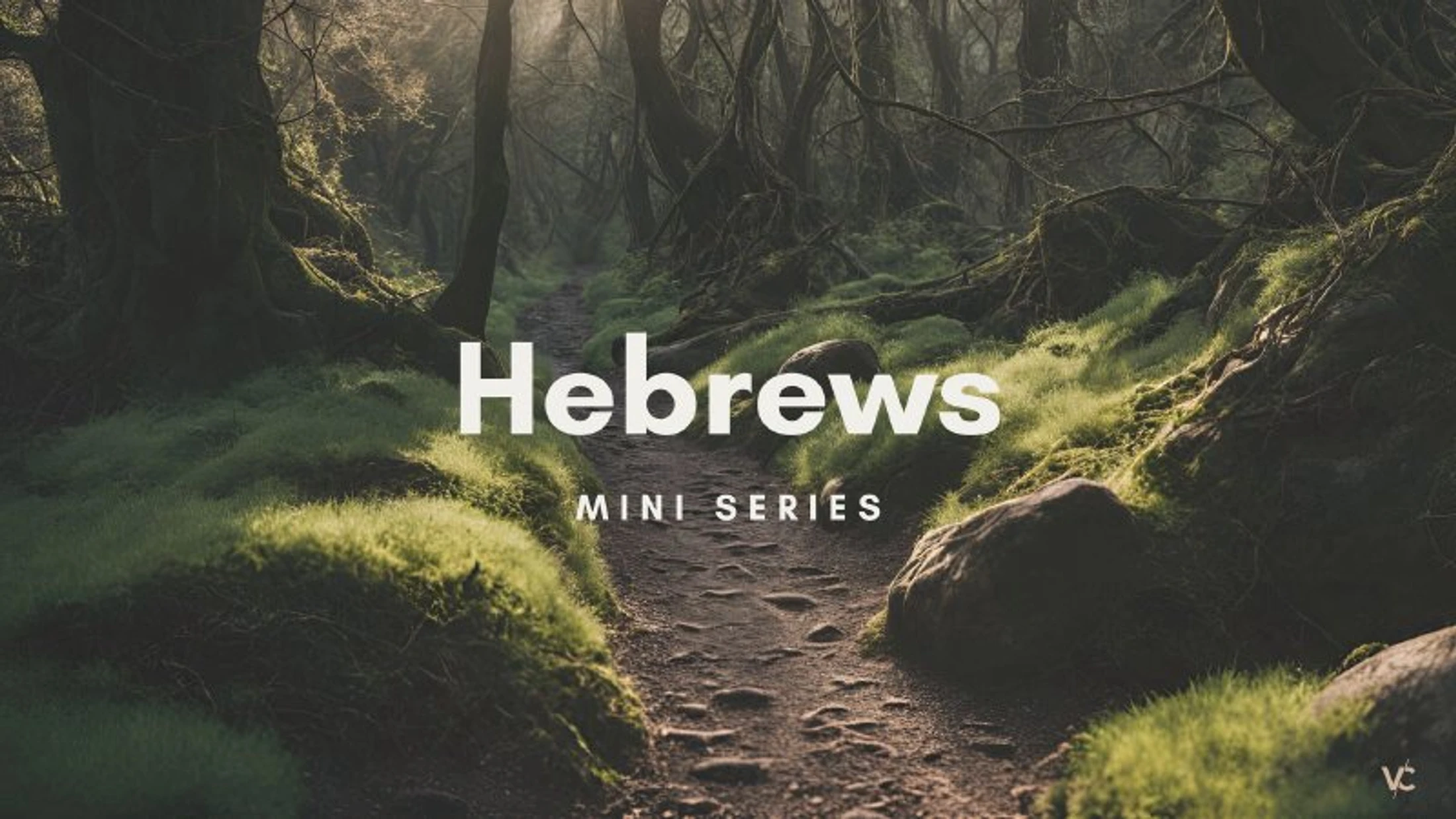 Hebrews 12:12-17