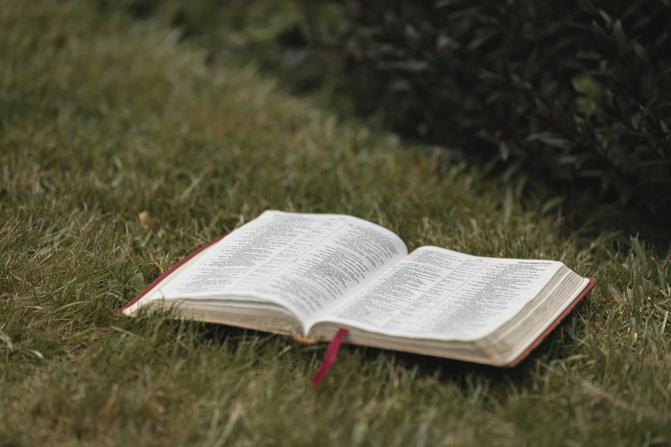 Theology Thursday