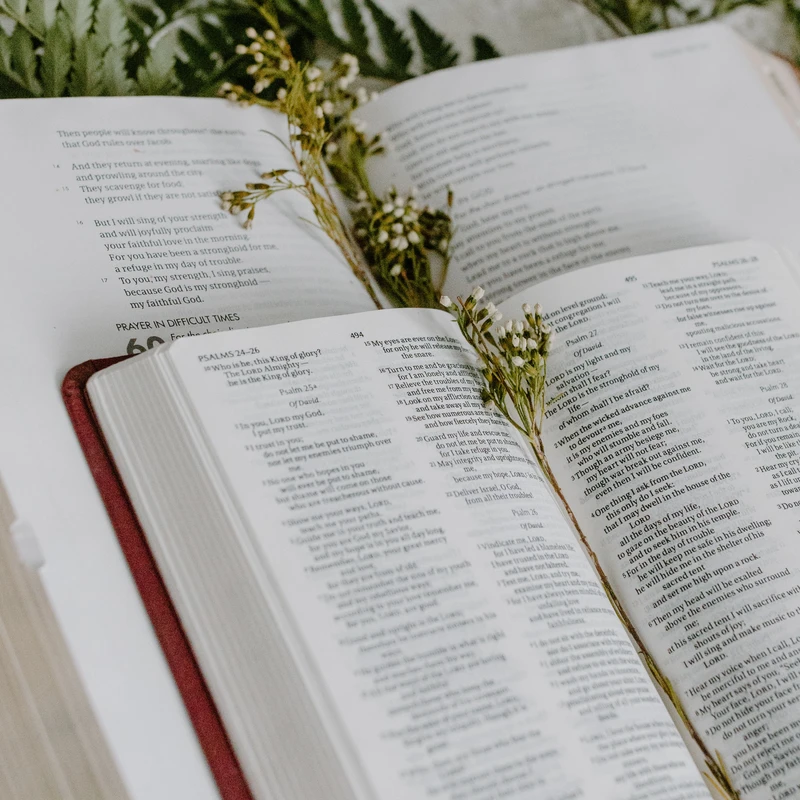 An open Bible with a red binding, showing the book of Psalms. A delicate sprig of small white flowers and greenery rests across the pages.