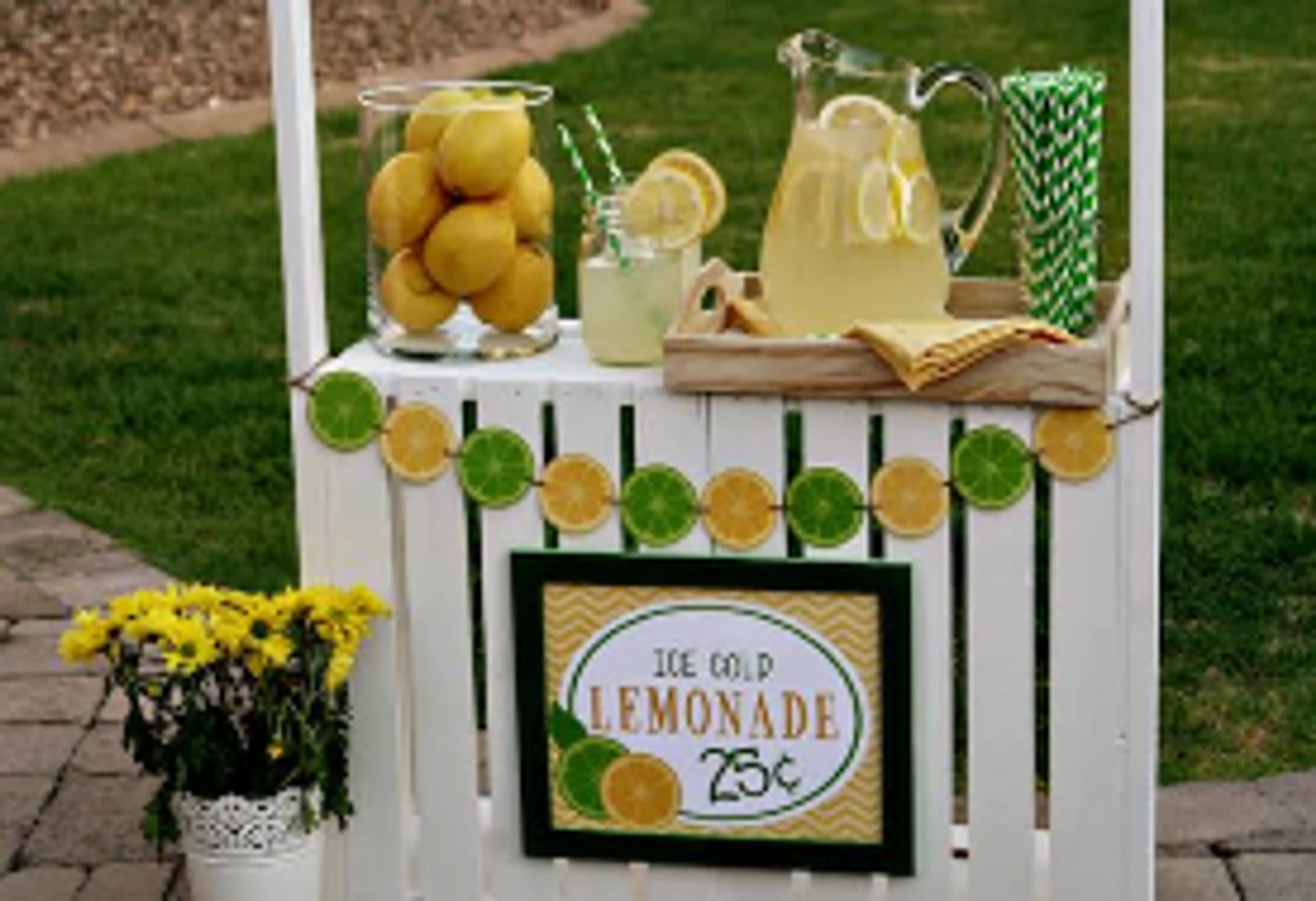 A white wooden lemonade stand decorated with a citrus slice garland, featuring a pitcher of lemonade, a jar of lemons, and a sign for 25 cent lemonade.