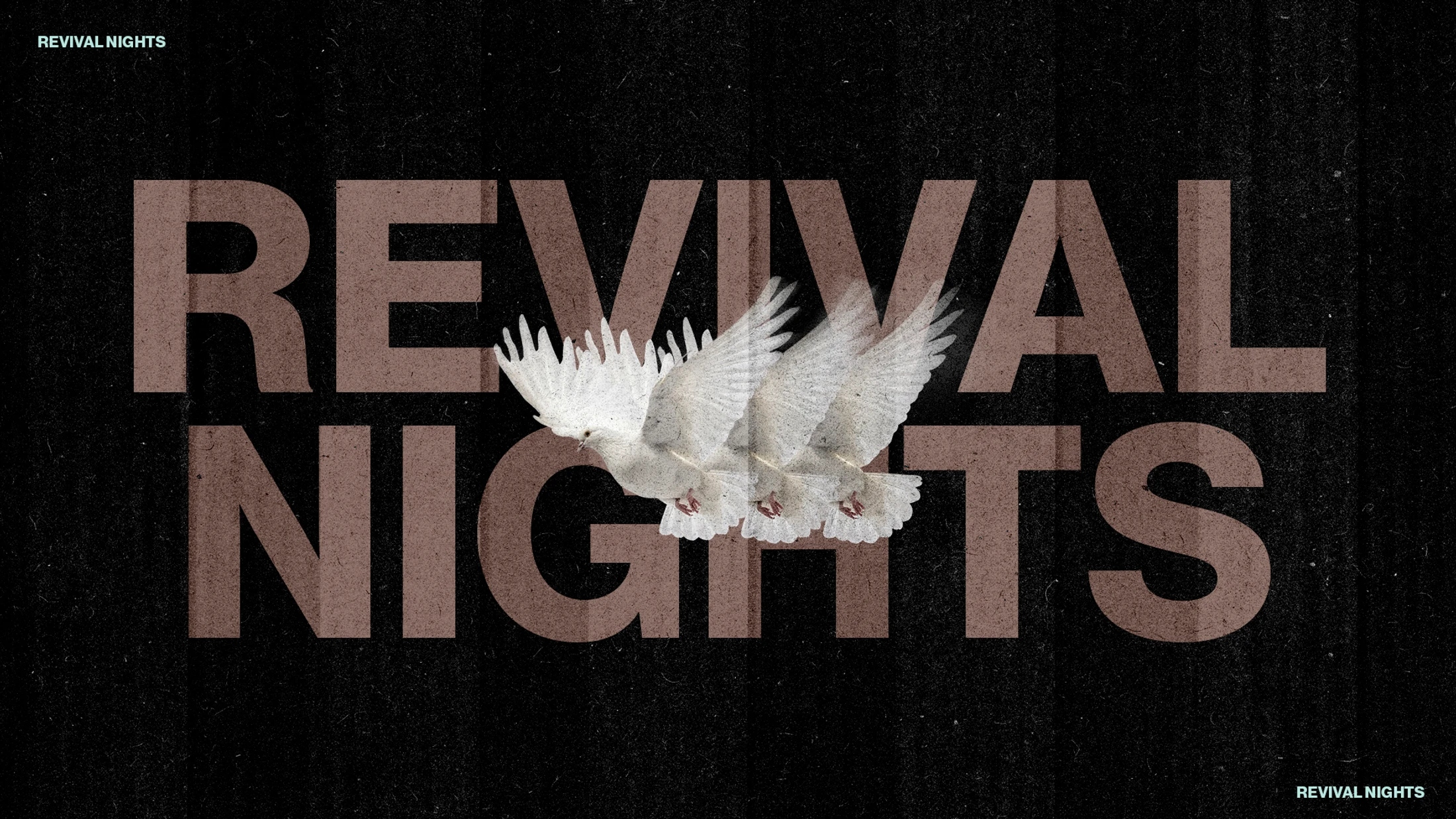 The words 'Revival Nights' in large brown letters on a black textured background. A white dove in triple exposure flies across the center.