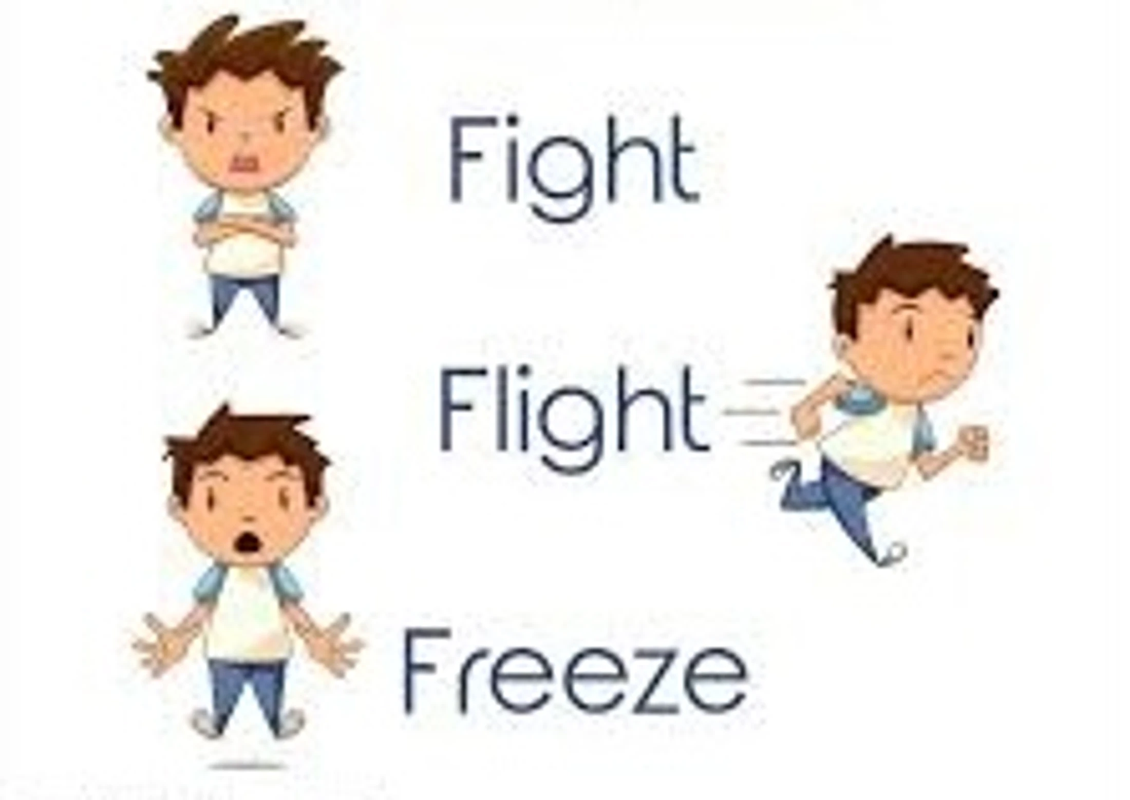 Fight Flight Freeze