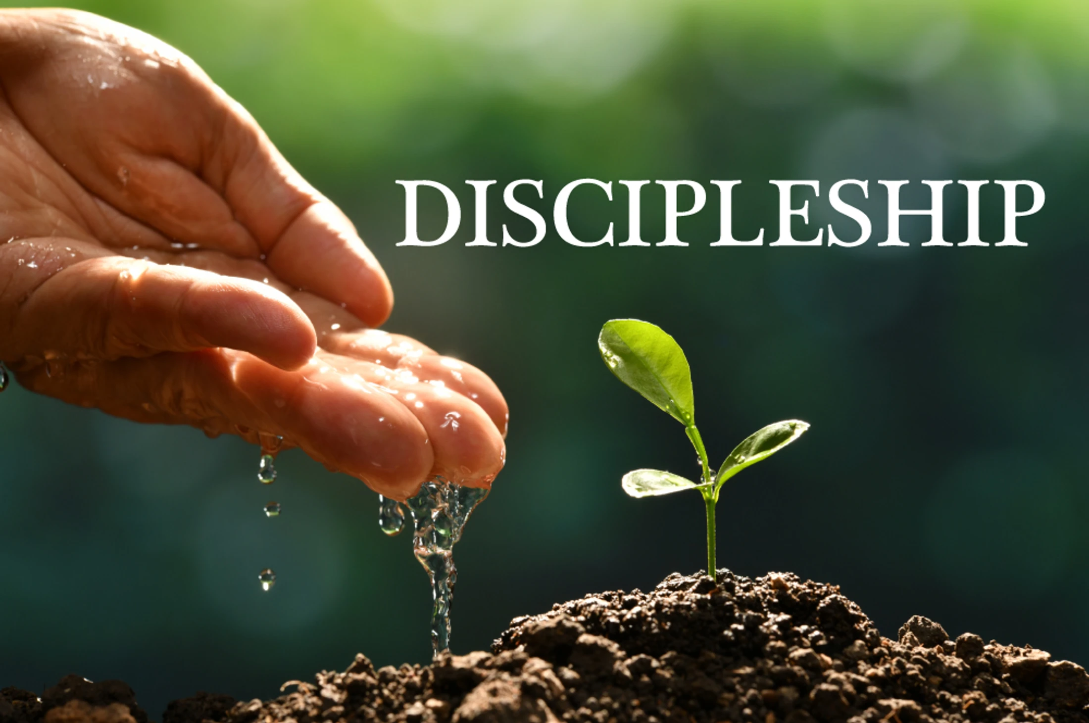 Discipleship: Becoming Like Christ