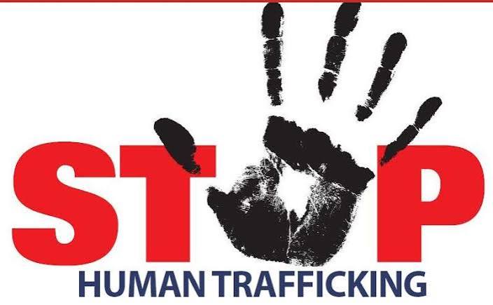 Supporting Survivors of Human Trafficking