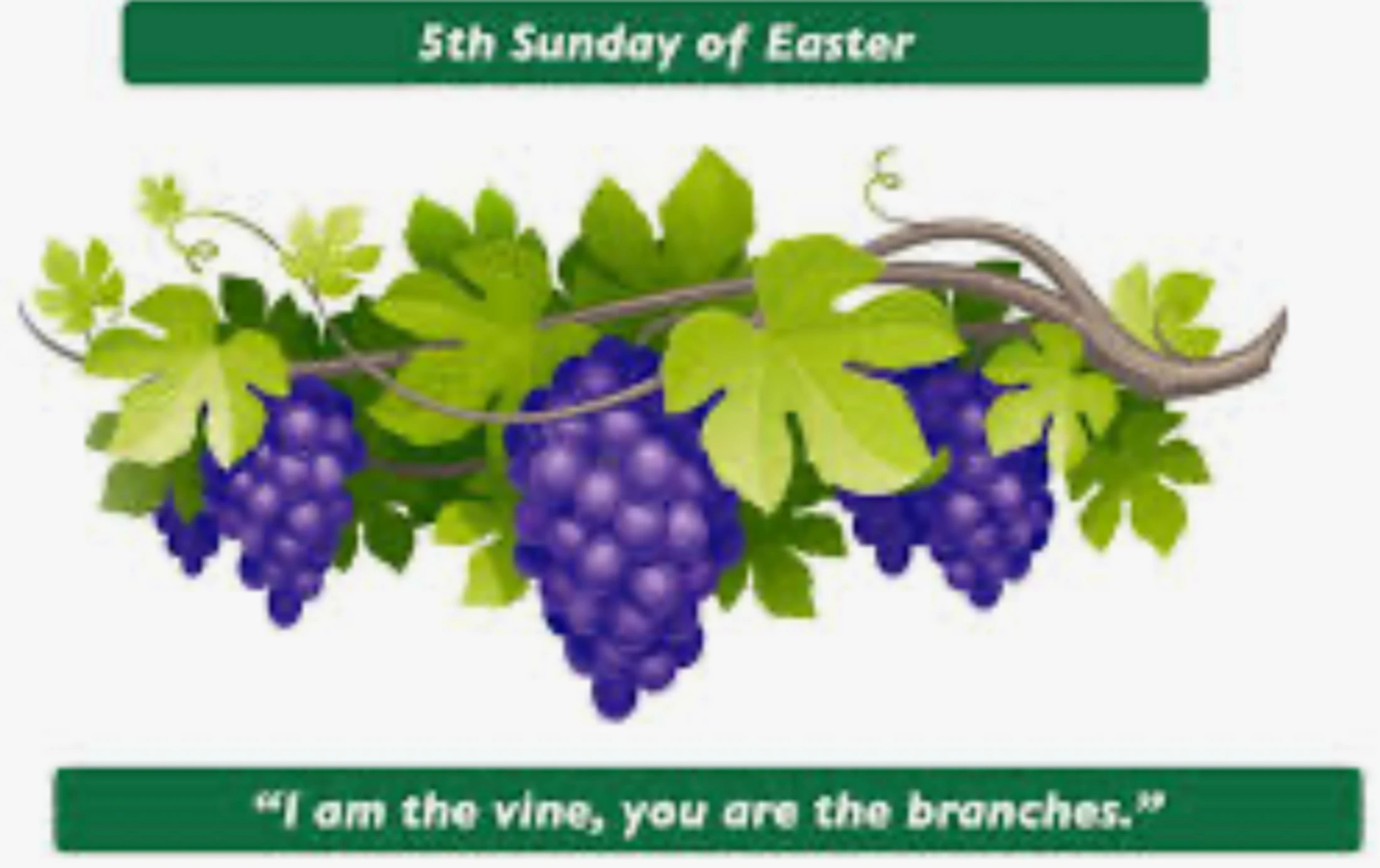 "The 7 Ingredients for Abundant Living" by Rev. Dr. Carmelo Mercado based on John 10: 1-11
