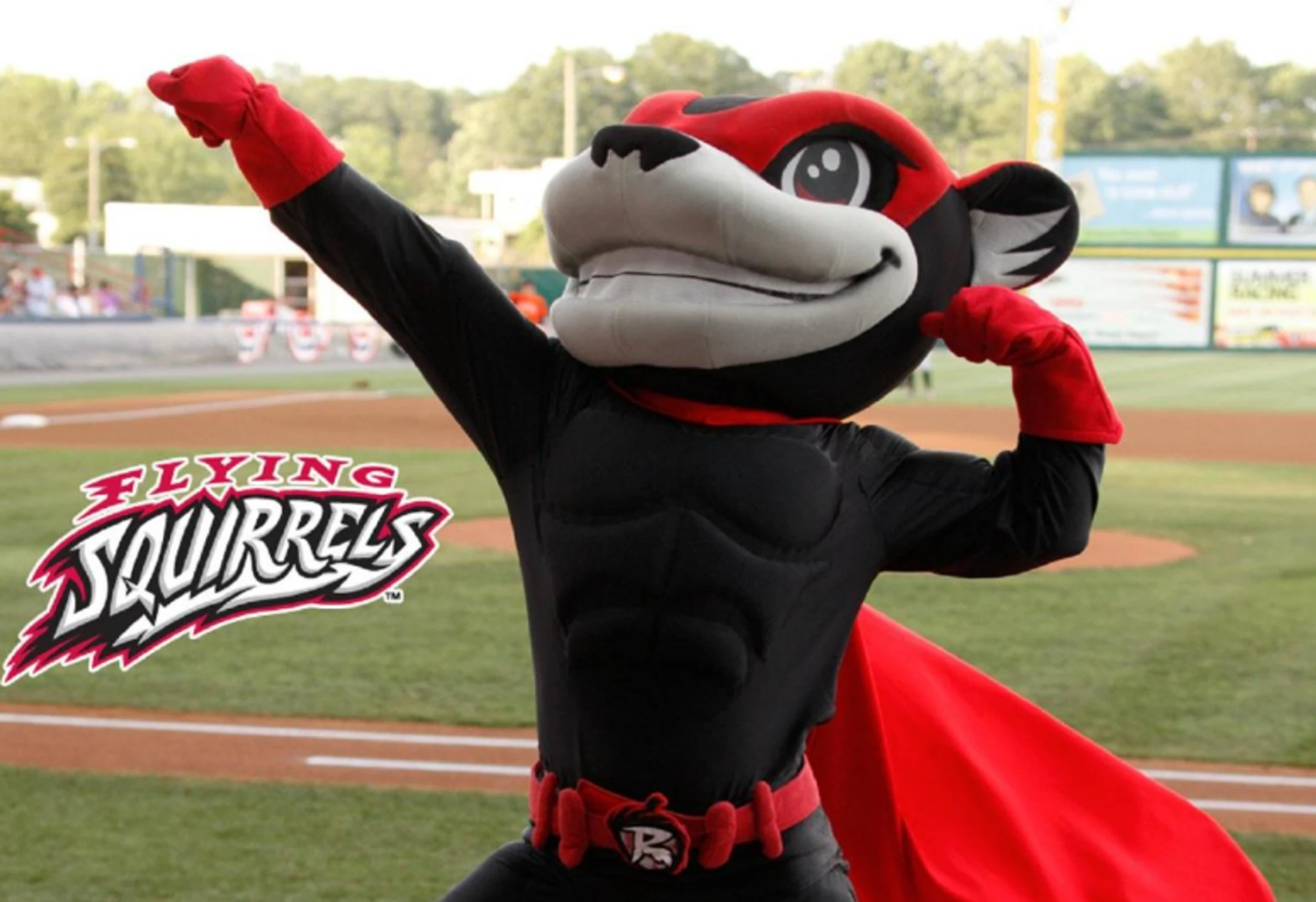Flying Squirrels Game