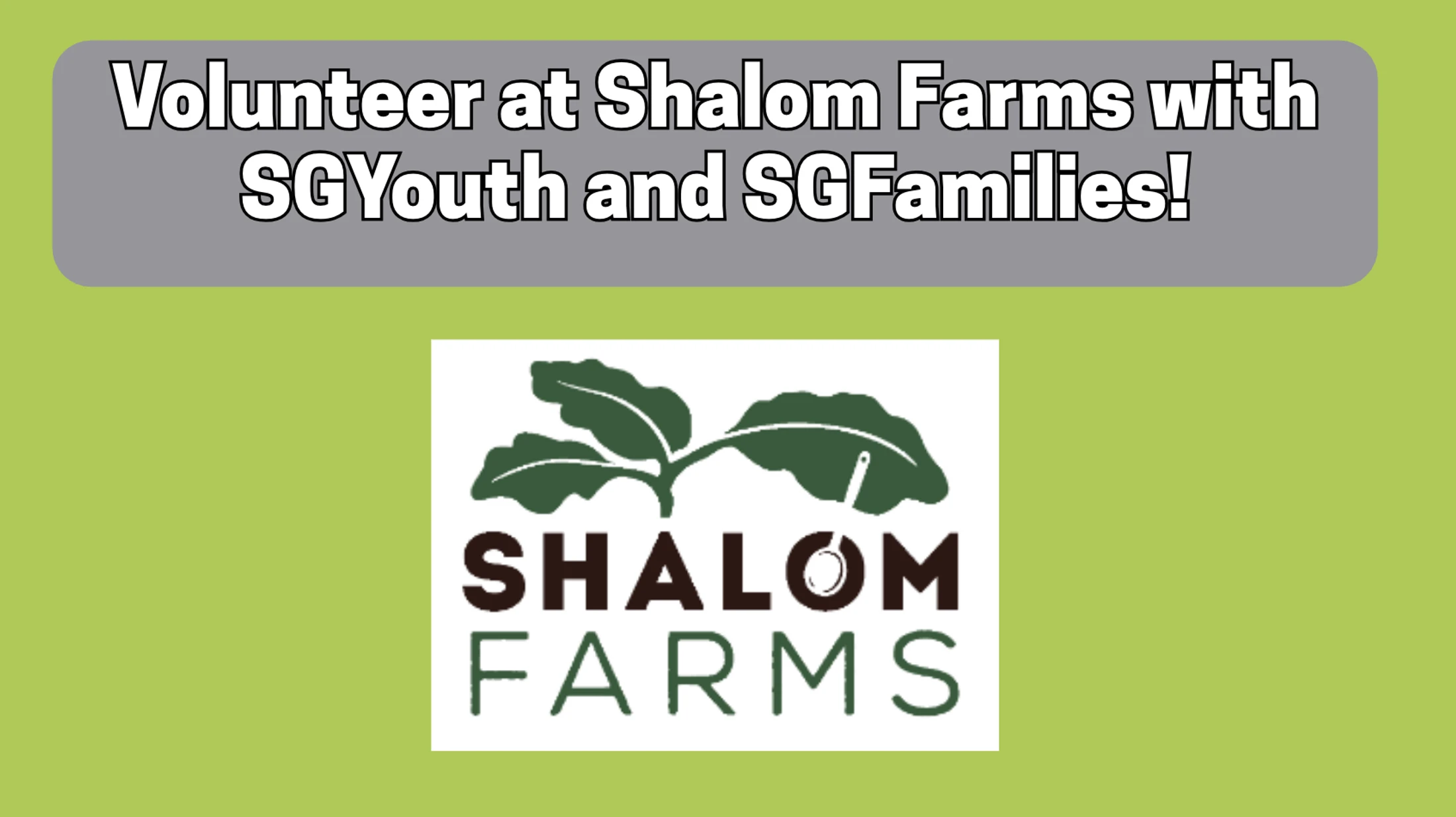 SGYouth and SGFamilies Shalom Farms Volunteering