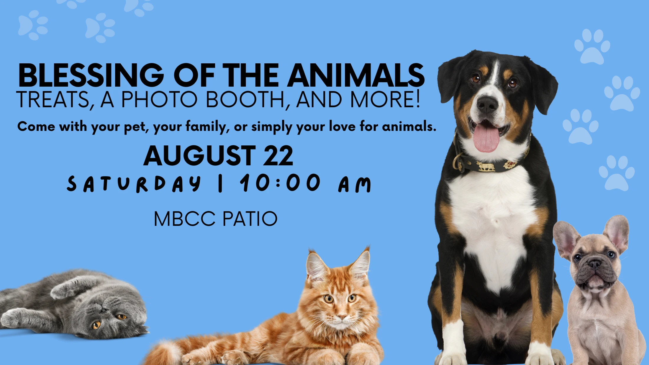Blessing of the Animals