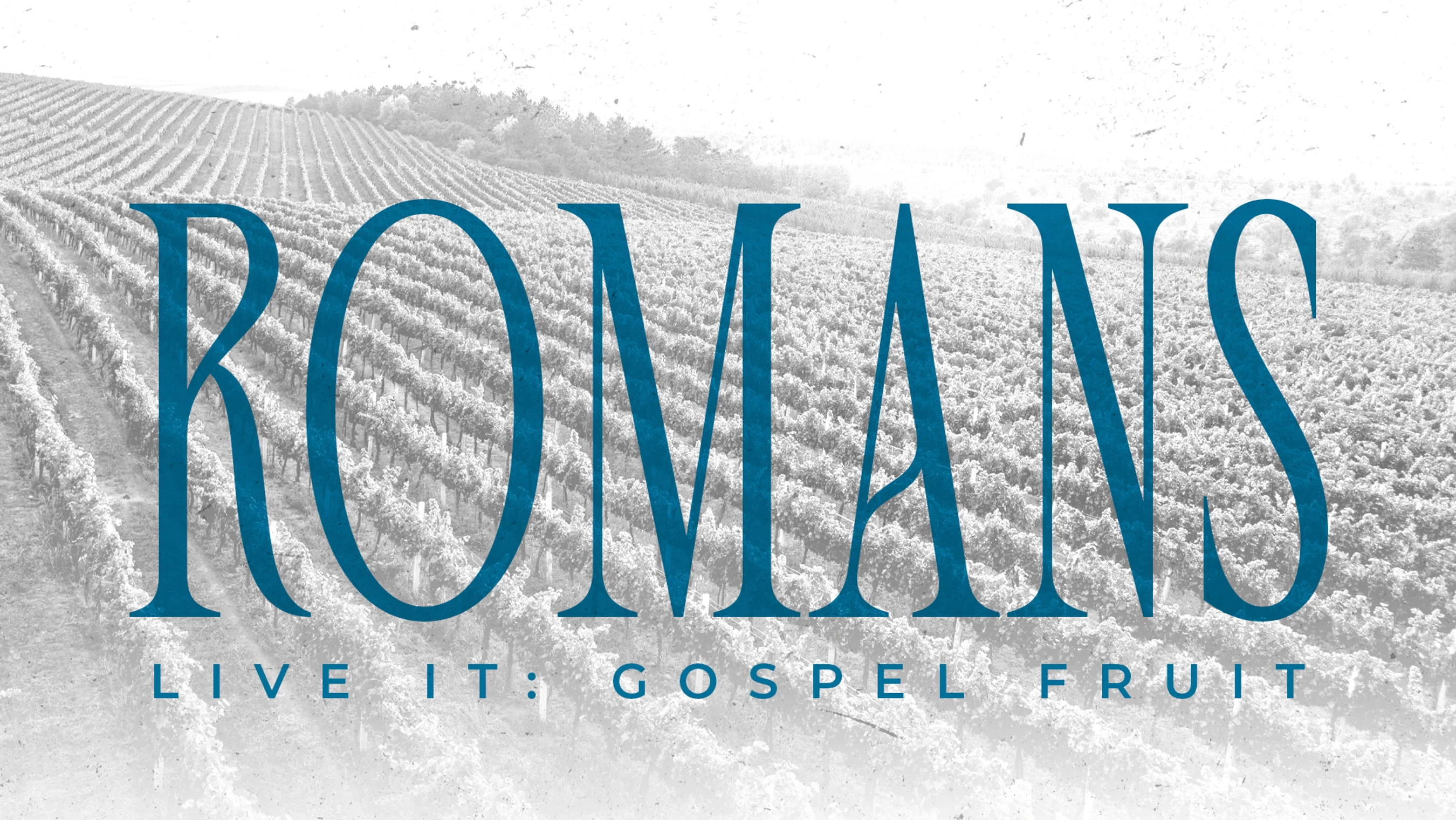 The word ROMANS in large, blue, serif text over a black-and-white image of a vineyard. Below, it reads, 'LIVE IT: GOSPEL FRUIT'.
