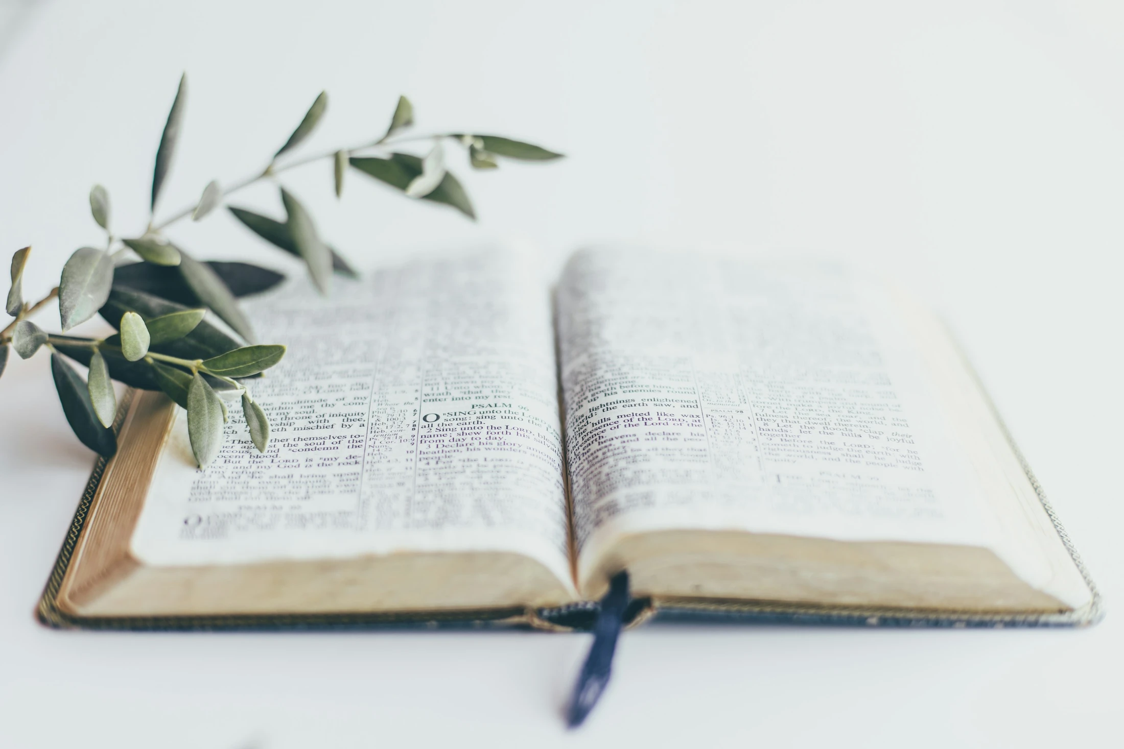 The Simple Bible Study Guide