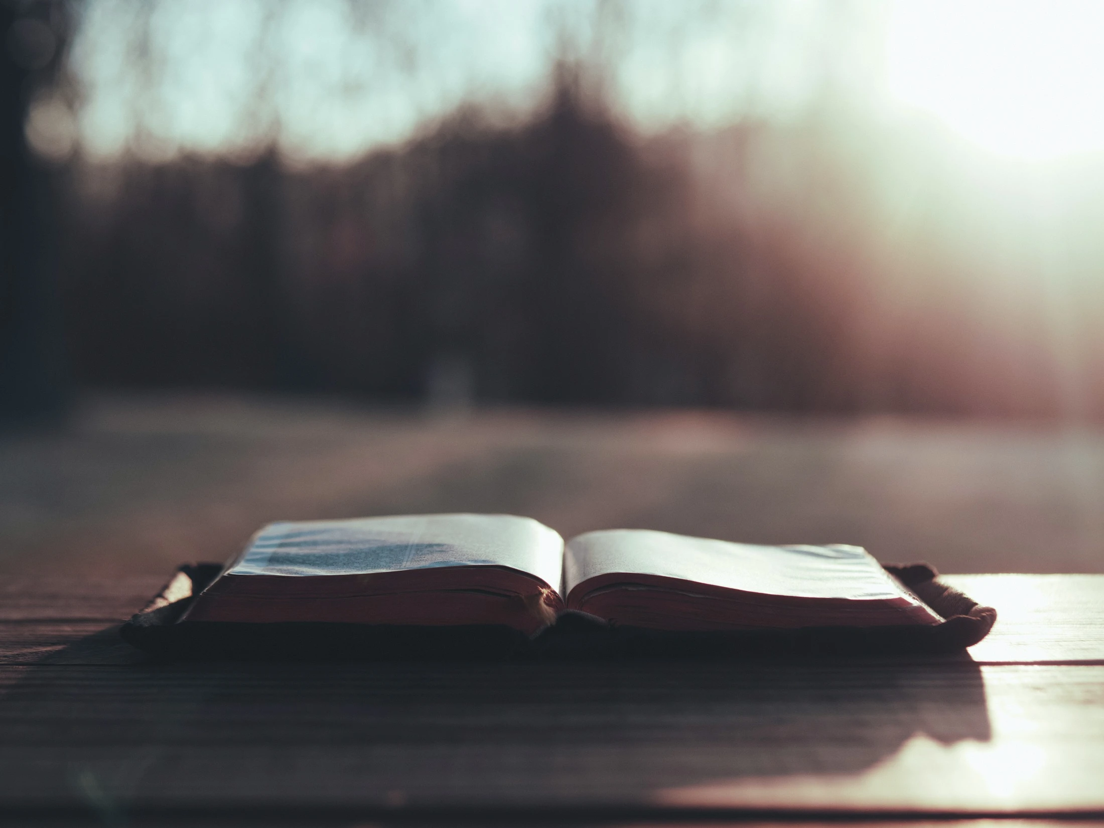 30 Days With Jesus Plan