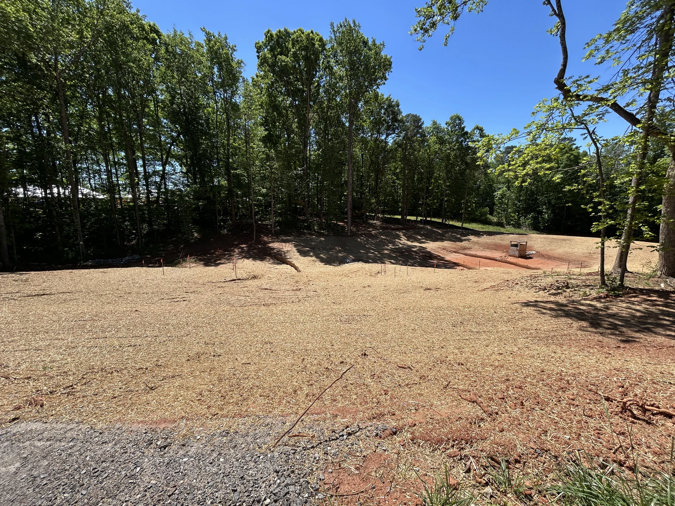 A large, cleared plot of land with red soil is covered in straw. In the background, a line of tall green trees stands against a clear blue sky.